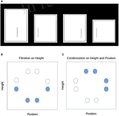 Attentional Bias in Human Category Learning: The Case of Deep Learning